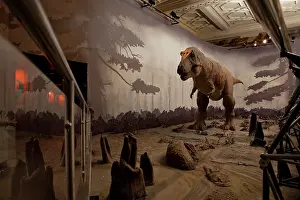 Tyrannosaur: Tyrannosaurus rex