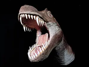 Tyrannosaur: Tyrannosaurus rex