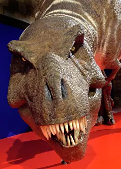 Tyrannosaur: Tyrannosaurus rex