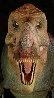 Tyrannosaur: Tyrannosaurus rex