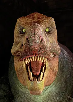 Tyrannosaur: Tyrannosaurus rex