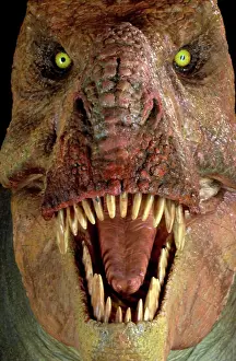 Tyrannosaur: Tyrannosaurus rex