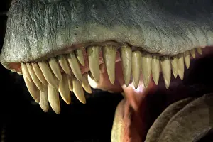 Tyrannosaur: Tyrannosaurus rex