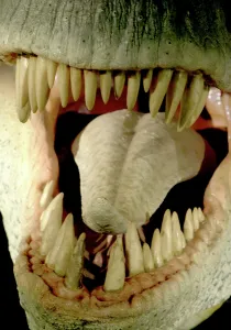 Tyrannosaur: Tyrannosaurus rex