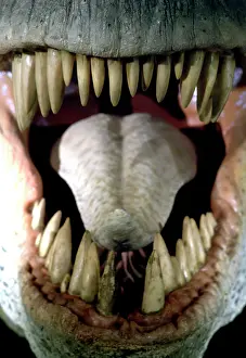 Tyrannosaur: Tyrannosaurus rex