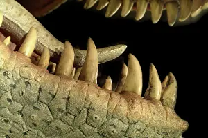 Tyrannosaur: Tyrannosaurus rex