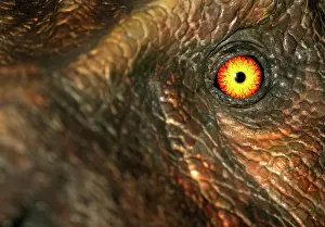 Tyrannosaur: Tyrannosaurus rex