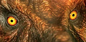 Tyrannosaur: Tyrannosaurus rex