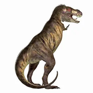 Terrible: Tyrannosaurus Rex