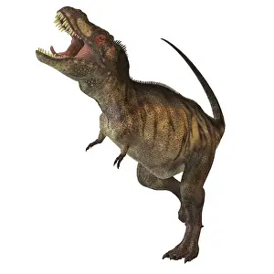 Terrible: Tyrannosaurus Rex