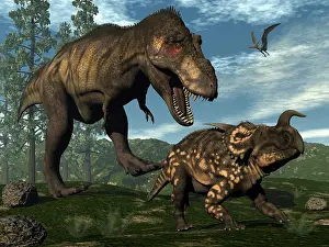 Pteranodon: Tyrannosaurus rex attacking an Einiosaurus dinosaur