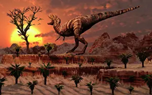 Plateau: Tyrannosaurus Rex calling out to find a possible mate