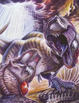 Rival: Tyrannosaurus rex confrontation