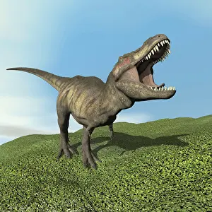 Furious: Tyrannosaurus rex dinosaur