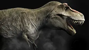 Behemoth: Tyrannosaurus rex dinosaur