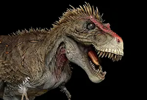 Laramidia: Tyrannosaurus rex dinosaur, profile view