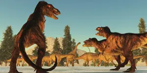 Surrounding: A Tyrannosaurus rex pack plans an attack on a