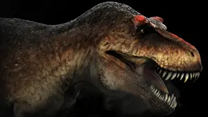 Behemoth: Tyrannosaurus rex, profile view