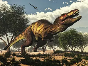 Tyrannosauroid: Tyrannosaurus rex standing upon its eggs to protect them