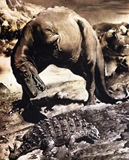 Scolosaurus: Tyrannosaurus and Scolosaurus