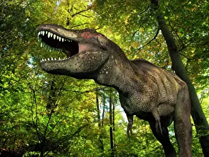 Frustration: A Tyrannosaurus wanders a Cretaceous forest