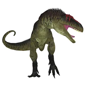 Carcharodontosaurid: Tyrannotitan dinosaur
