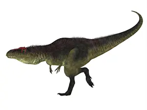 Carcharodontosaurid: Tyrannotitan dinosaur side view