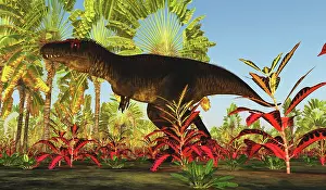 Carcharodontosaurid: Tyrannotitan dinosaur walking through a tropical jungle