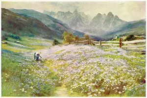 Picker: TYROL FLOWER PICKER