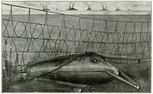 Untersee: U-boat Under Net