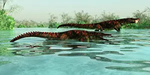 Hungry: Uberabasuchus dinosaur reptiles catching fish