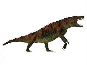 Crocodyliform: Uberabasuchus, side profile