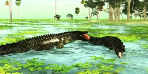 Hungry: Uberabasuchus reptiles catch fish