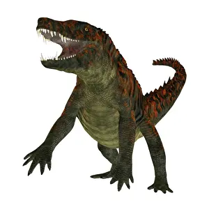 Archosaur: Uberabasuchus on white background
