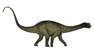 Ribeiroi: Uberabatitan dinosaur isolated on white background