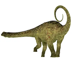 Osteoderm: Uberabatitan dinosaur, side profile
