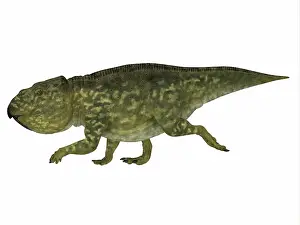 Ceratopsian: Udanoceratops dinosaur, side profile