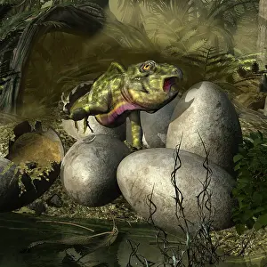 Offspring: Udanoceratops hatching out of an egg
