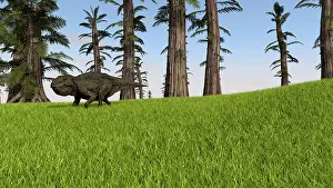 Neoceratopsia: Udanoceratops walking across a grassy field
