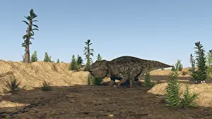 Neoceratopsia: Udanoceratops walking in muddy water