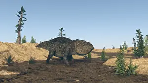 Neoceratopsia: Udanoceratops walking in muddy water