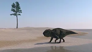 Neoceratopsia: Udanoceratops walking along the water's edge