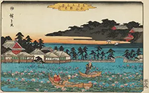 Shinobazu: Ueno Shinobazu-ike