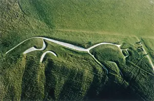 Lucy Pringle: UFFINGTON WHITE HORSE