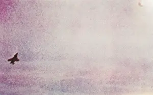 Ufos: UFO AT HYA KURI JAPAN