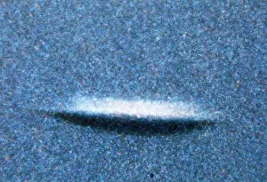 Occupants: UFO - Nagata, Japan