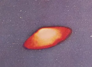 Strauch: UFO shot by Arthur Strauch of St. George
