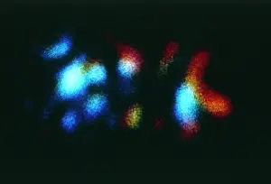 Hessdalen: UFO splitting and changing colour, Hessdalen, Norway