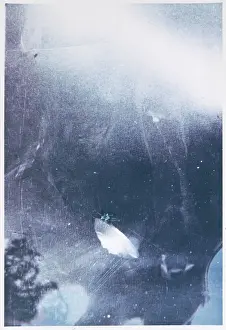 Genuine: UFOS/AMERICA, UNKNOWN