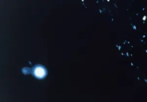 Alleged: UFOS/APOLLO II